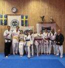 Stort grattis till alla nya grader i Muju TKD!